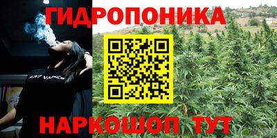 мдпв Янаул