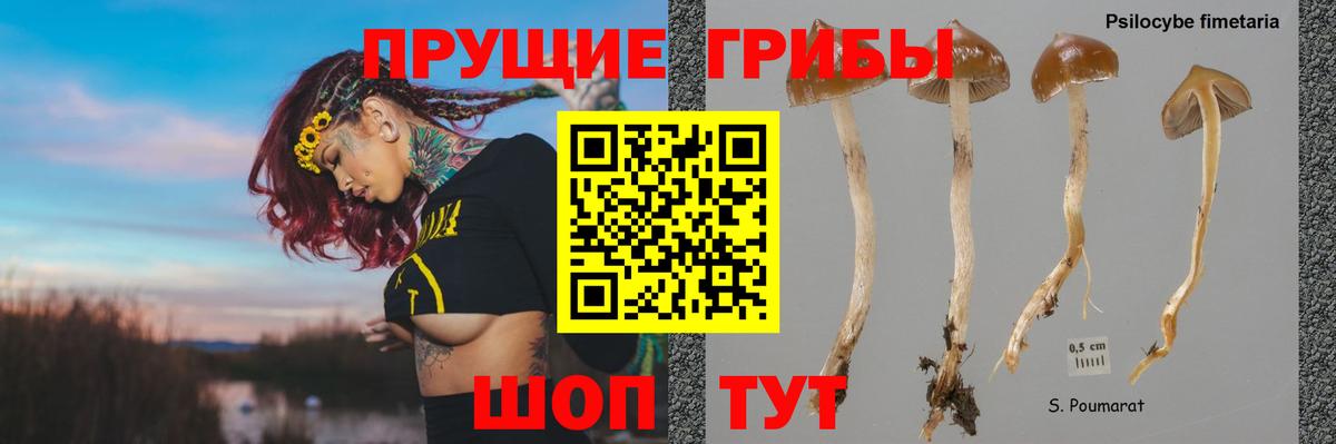 Галлюциногенные грибы прущие грибы Алушта